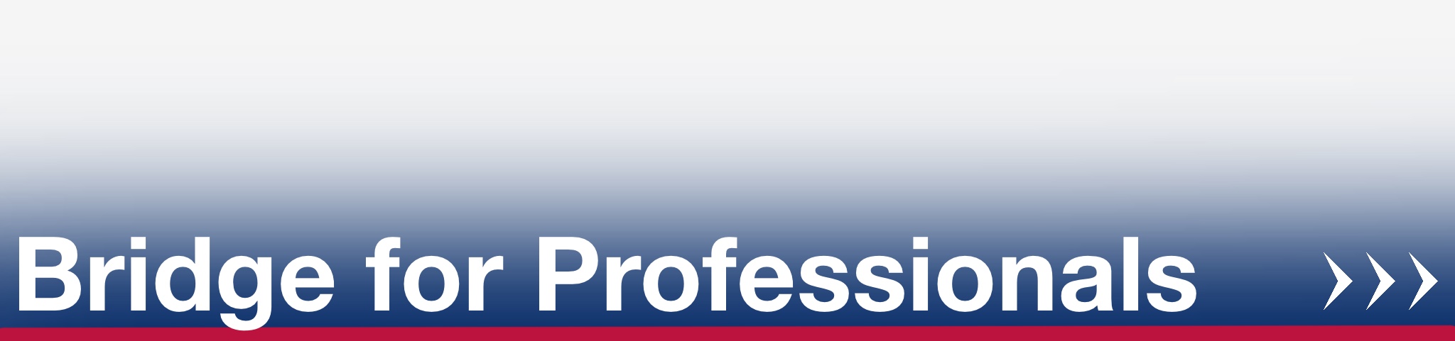 Bridge for Professionals